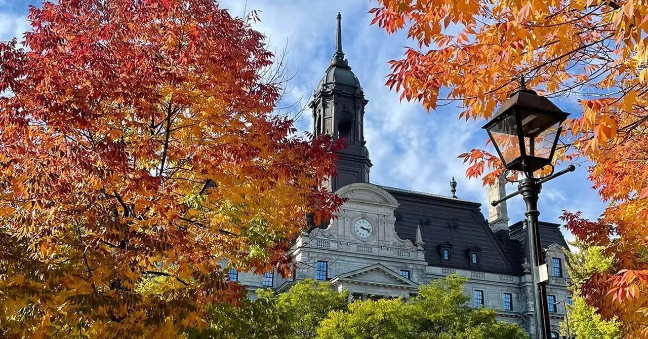 Montreal Town Hall Credit India Jayne Trainor