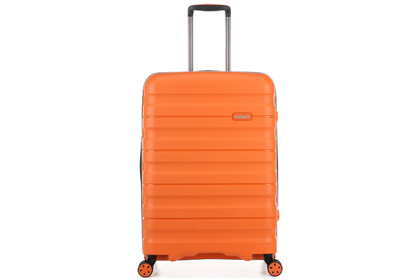 orange antler suitcase