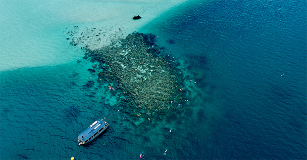 Coral Expeditions _ Snorkelling at Ashmore Reef