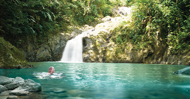 Tobago Waterfall