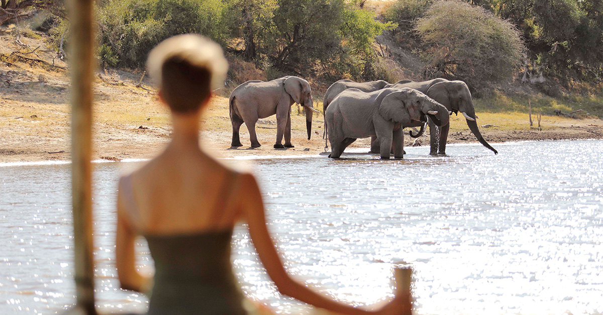 Top 6 African conservation trips