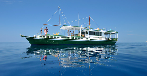 Dhoni cruise boat