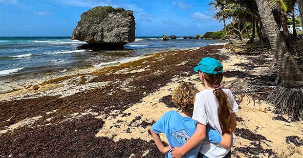 Kids at Bathsheba Beach