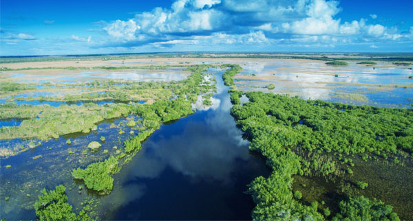 Everglades-Florida