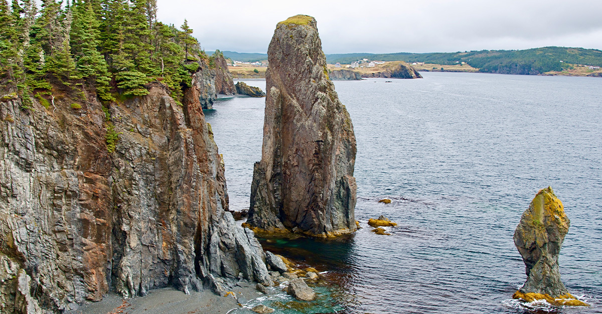 5 things to do in Newfoundland