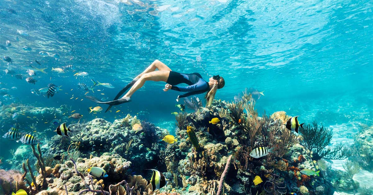 Atlantis Paradise Island: snorkelling with sharks at a celebrity favourite in the Bahamas