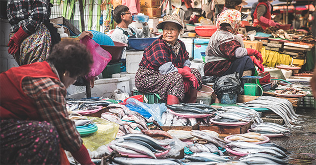 Intrepid-Travel-korea_seoul_05487_food_cjzk