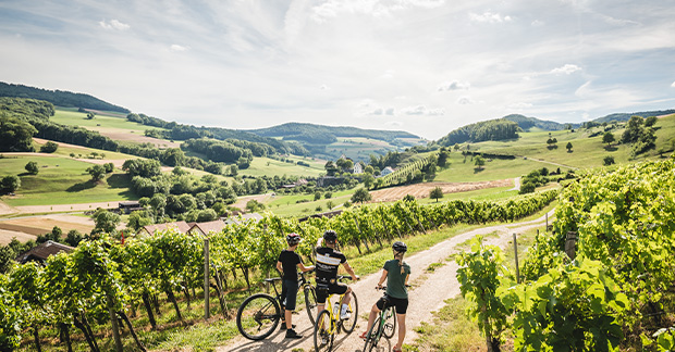 ST_3x2_Upper-flax-vineyards_36065-Credit-Andre Meier:Switzerland Tourism