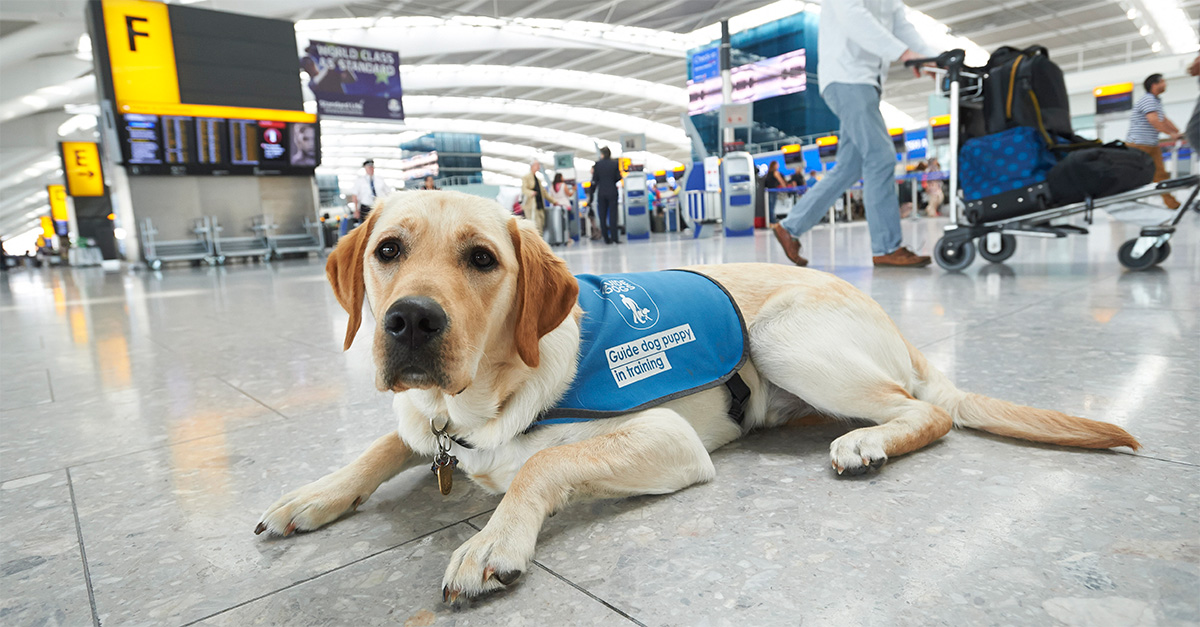 See the world: how to plan a holiday for visually-impaired travellers