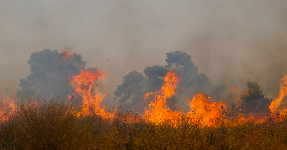 Crisis unit set up as Rhodes wildfires force holidaymakers to flee hotels