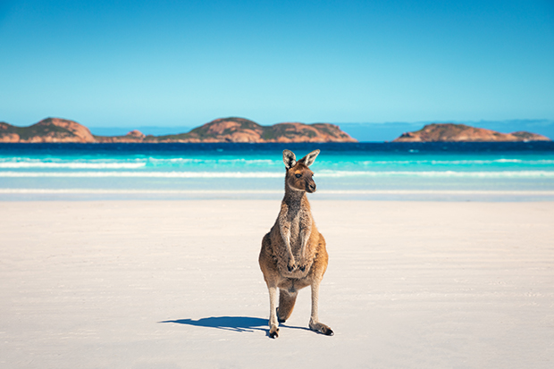 Lucky Bay is a bay located at 33°59′40″S 122°13′57″E on the south coast of Western Australia, in the Cape Le Grand National Park. Located south-east of Esperance, the bay is a tourist spot known for its bright white sands and turquoise-coloured waters.