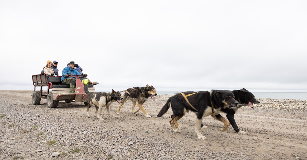 Adventure the Nordic way with Hurtigruten