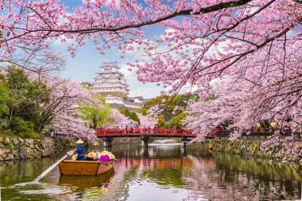 Wendy Wu secures extra Japan cherry blossom departures