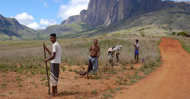 Madagascar conservation