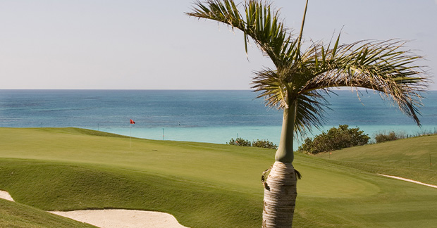 Bermuda Golf